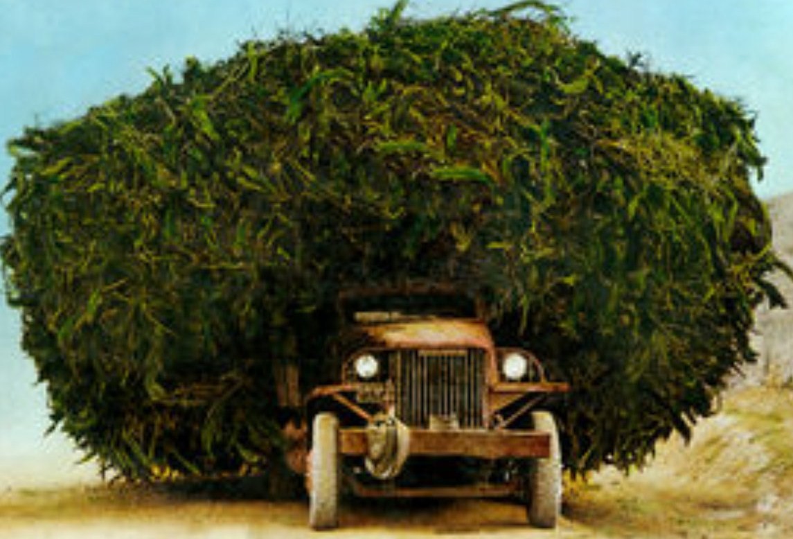 Weed Truck